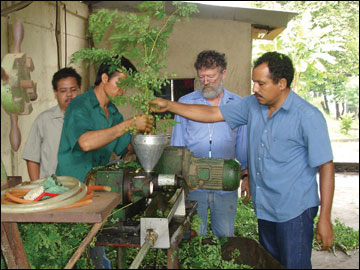 Foidl processing Moringa