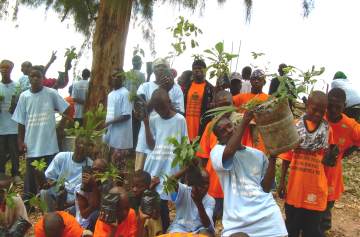 boys under tree