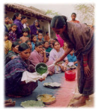 cooking moringa