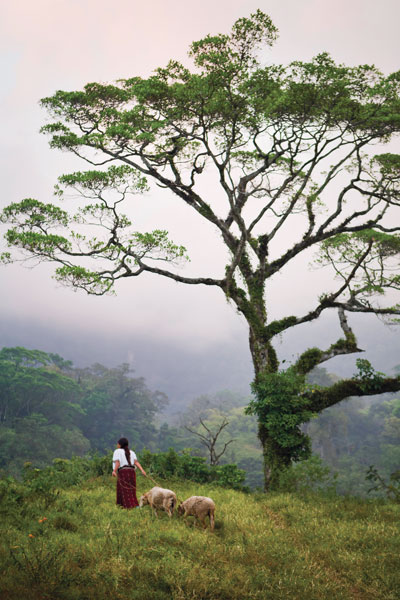 Herding sheep in the highlands of Guatemala