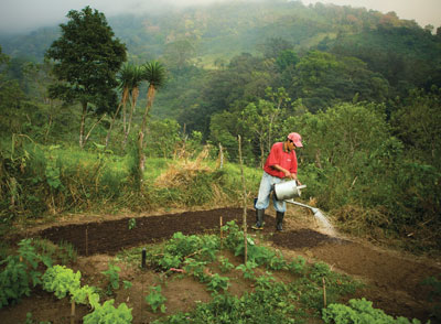 Guatemala villager caring for garden