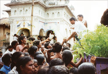 Distribution of Moringa seedlings 360