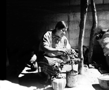 woman with plant