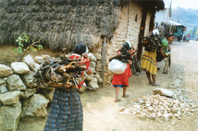 Villagers carrying firewood