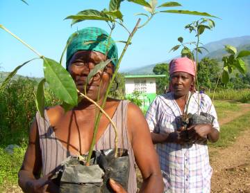 womenwithplants